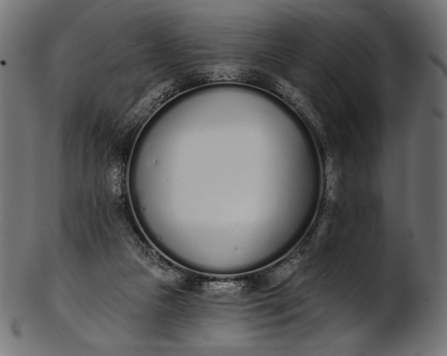 X0000103230161200809111538