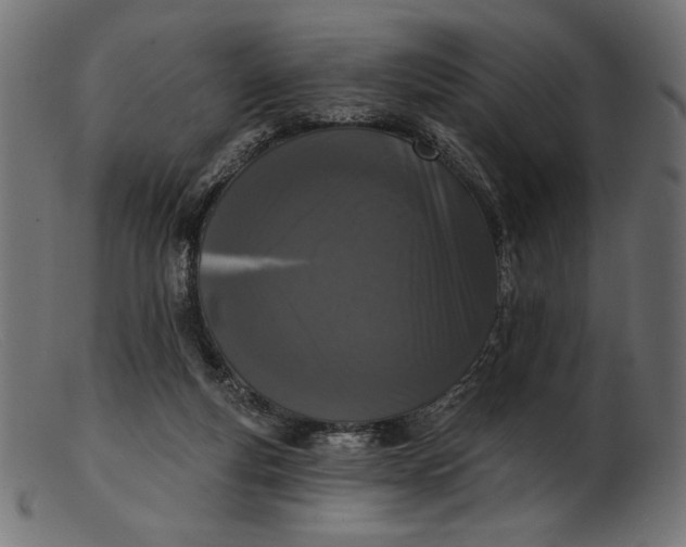 X0000103230163200809111538