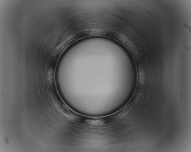 X0000103230165200809111538