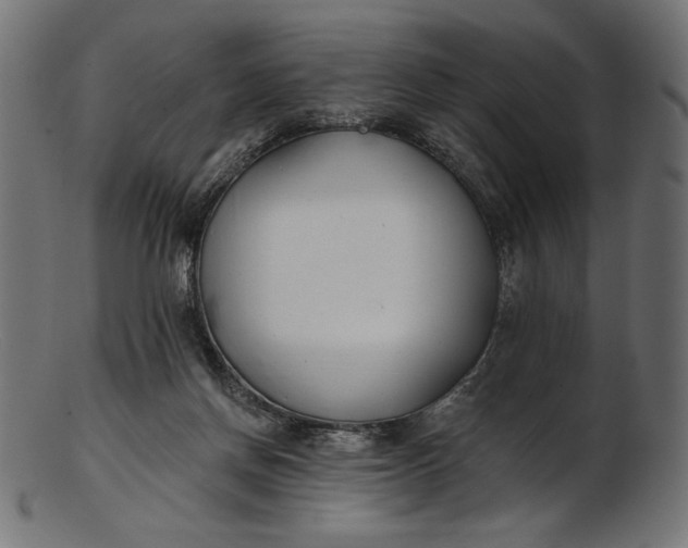 X0000103230166200809111538