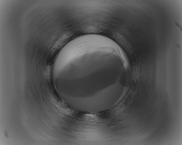 X0000103230167200809111538