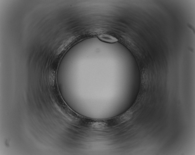 X0000103230168200809111538