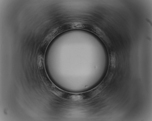 X0000103230169200809111538