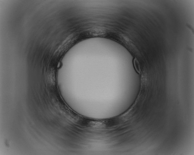 X0000103230170200809111538
