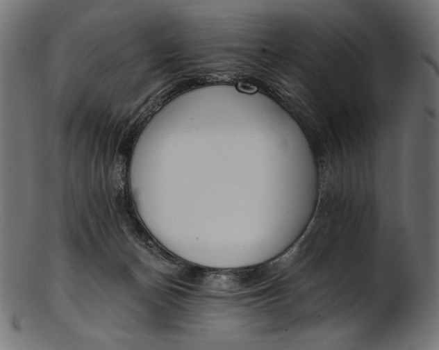 X0000103230174200809111538