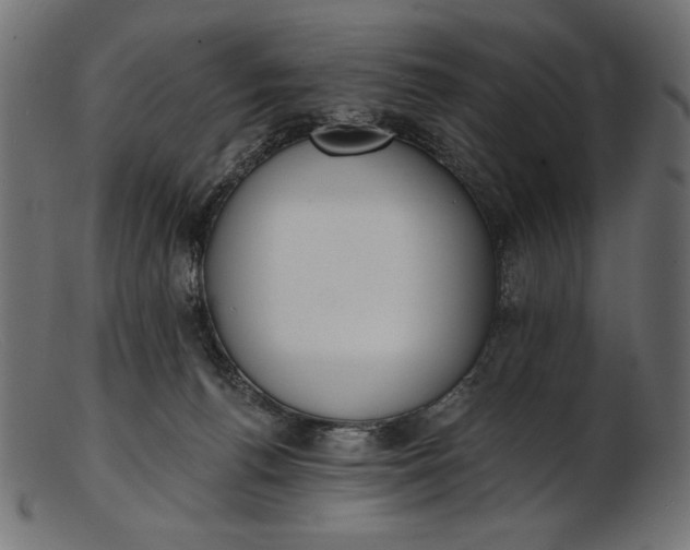 X0000103230176200809111538