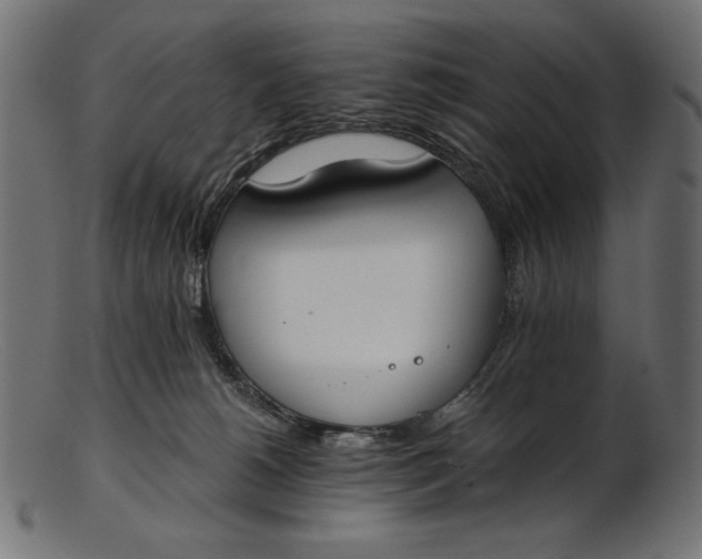 X0000103230180200809111538