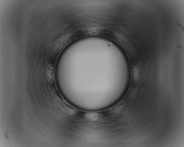 X0000103230181200809111538