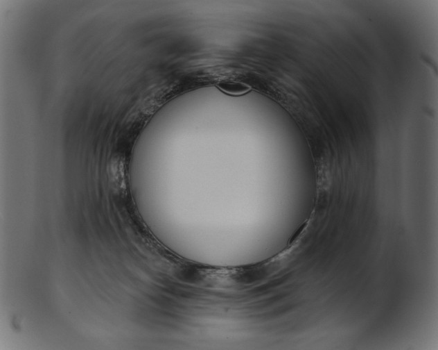 X0000103230182200809111538