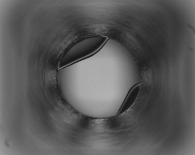 X0000103230184200809111538