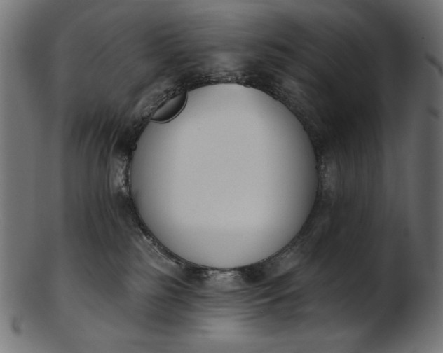 X0000103230185200809111538