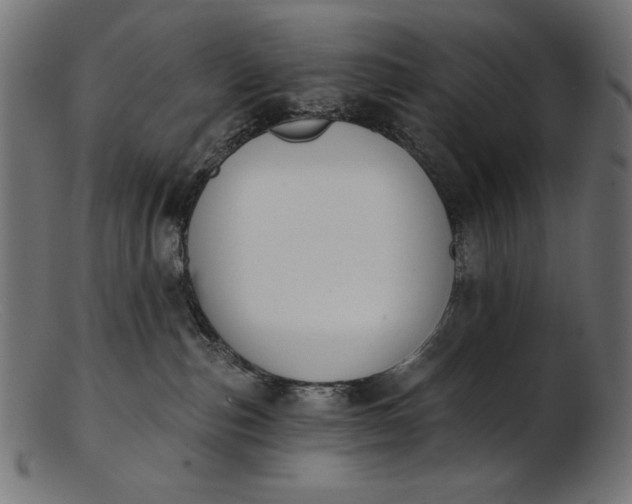 X0000103230187200809111538