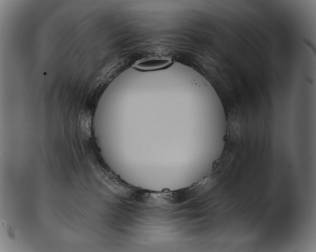 X0000103230188200809111538