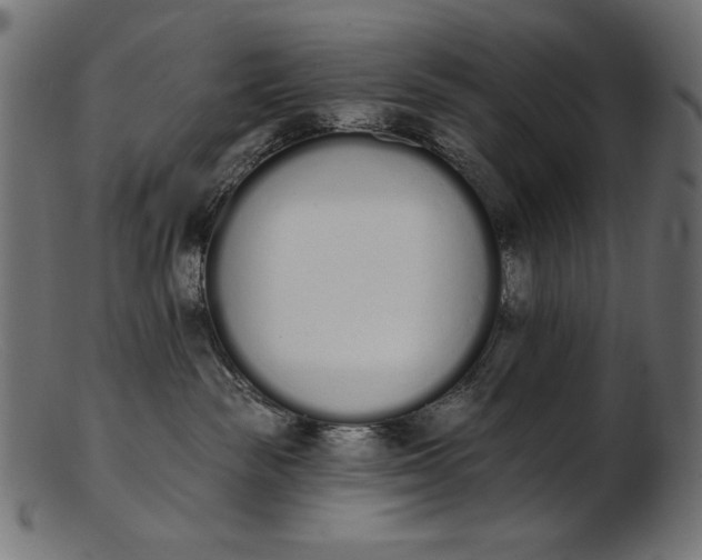 X0000103230189200809111538