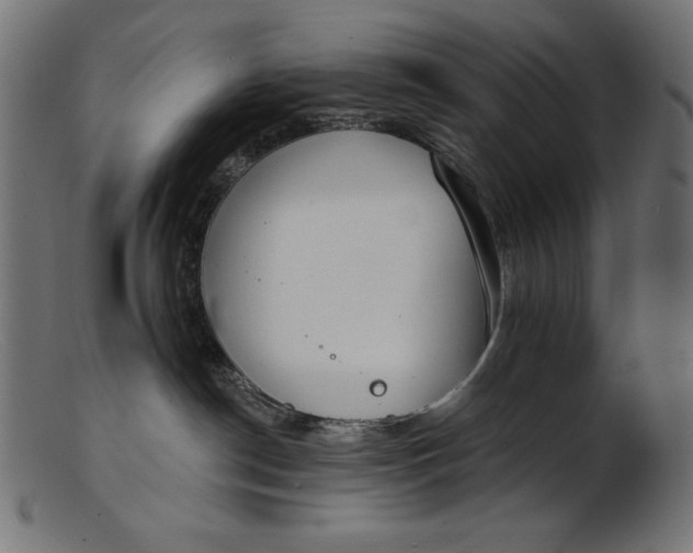 X0000103230190200809111538