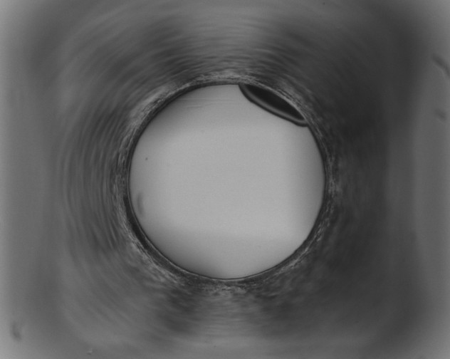 X0000103230193200809111537