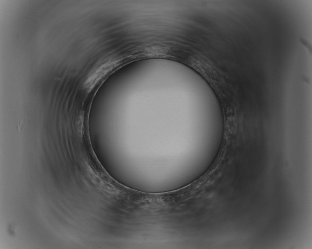 X0000103230194200809111537