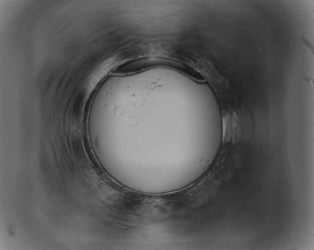 X0000103230195200809111537