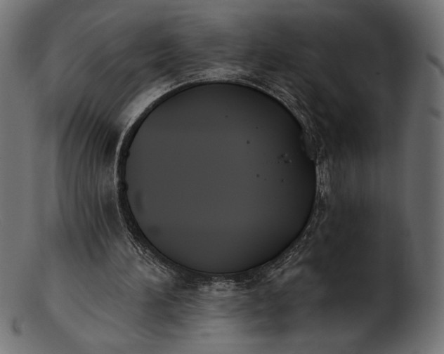 X0000103230196200809111537