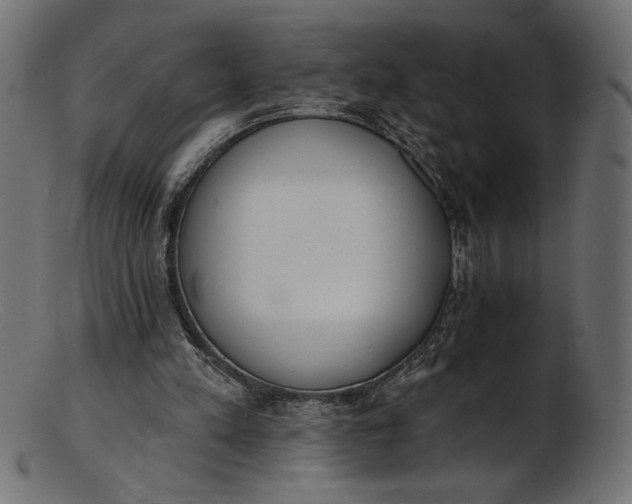X0000103230197200809111537