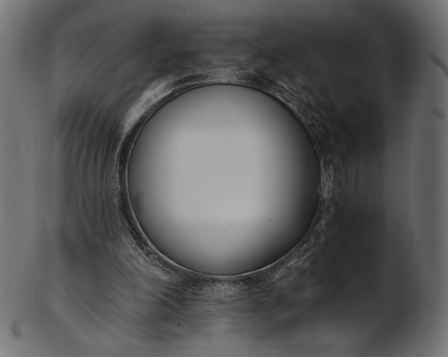 X0000103230198200809111537