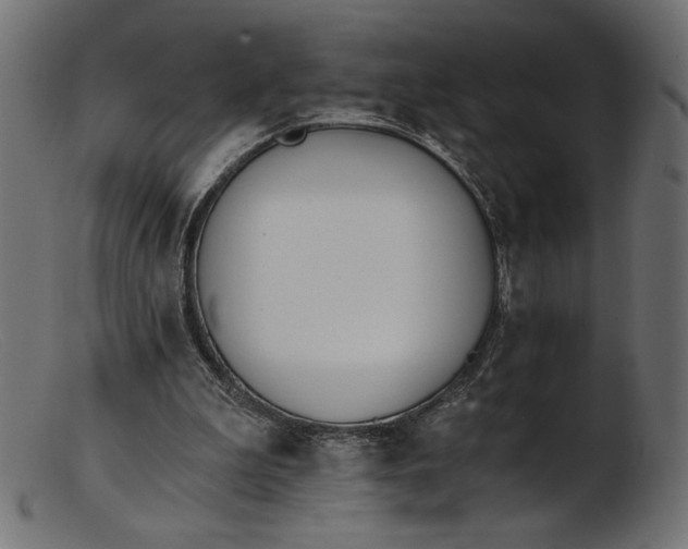 X0000103230199200809111537