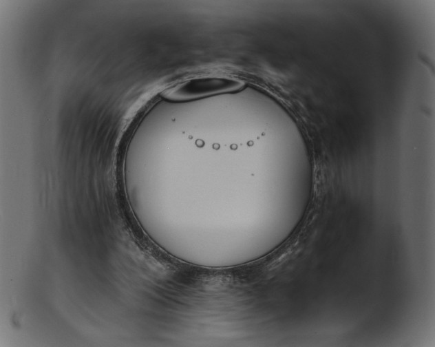 X0000103230200200809111537