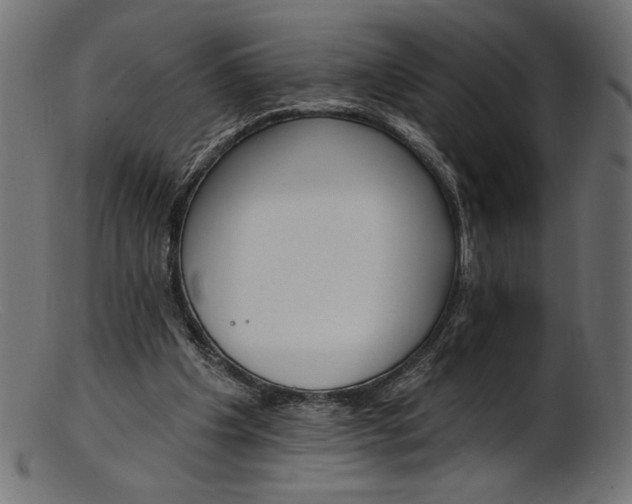 X0000103230201200809111537