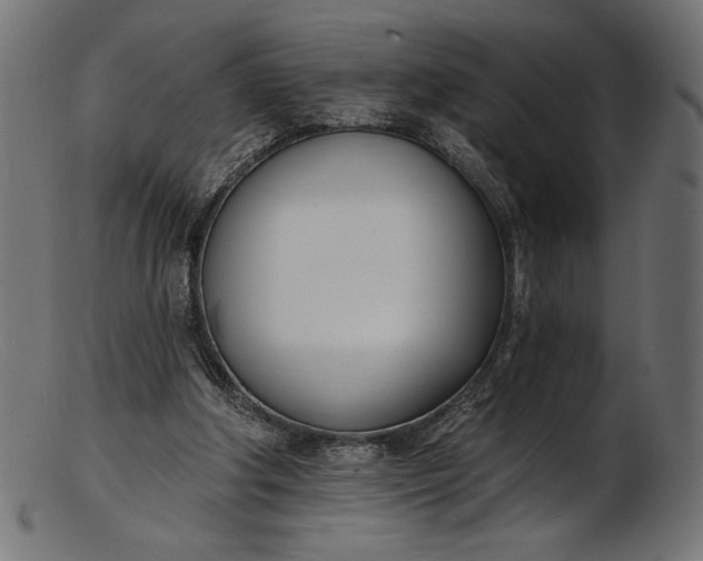 X0000103230202200809111537