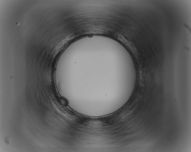 X0000103230203200809111537
