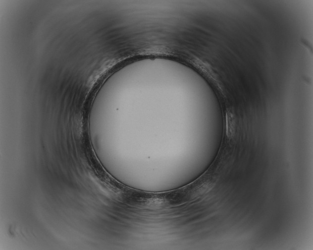 X0000103230204200809111537