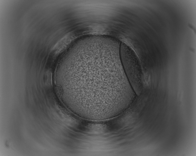 X0000103230205200809111537