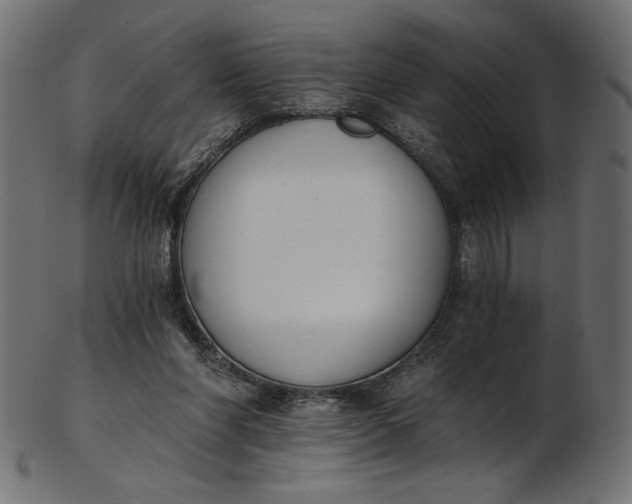 X0000103230206200809111537