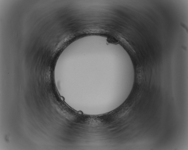 X0000103230207200809111537