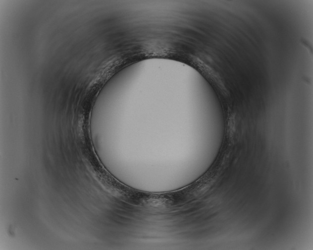 X0000103230209200809111537