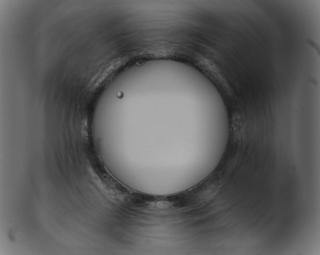 X0000103230212200809111537