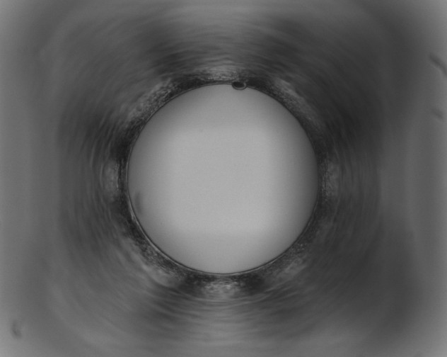 X0000103230213200809111537