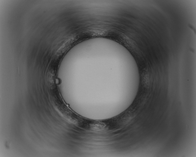 X0000103230215200809111537
