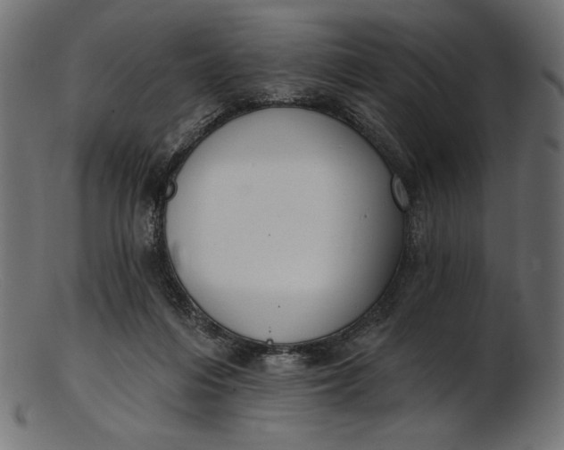 X0000103230216200809111537