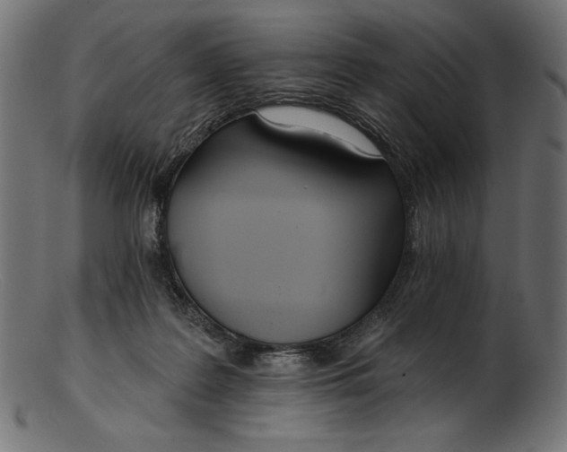 X0000103230219200809111537