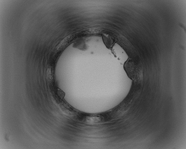 X0000103230220200809111537