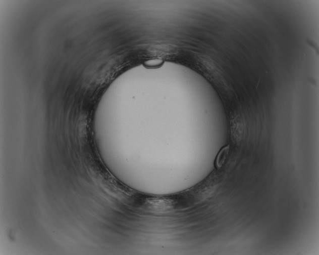 X0000103230221200809111537