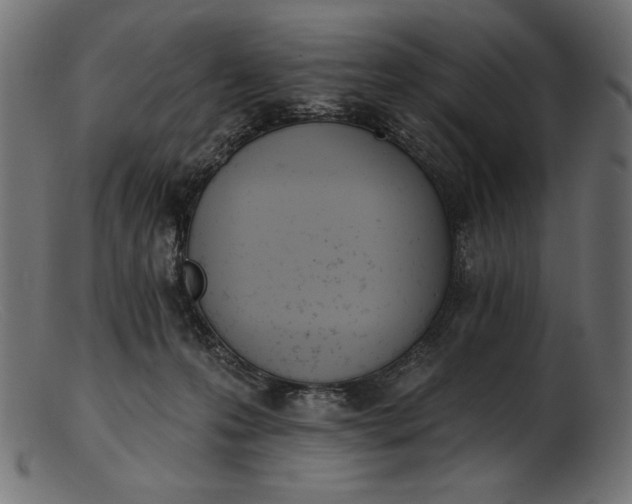 X0000103230223200809111537