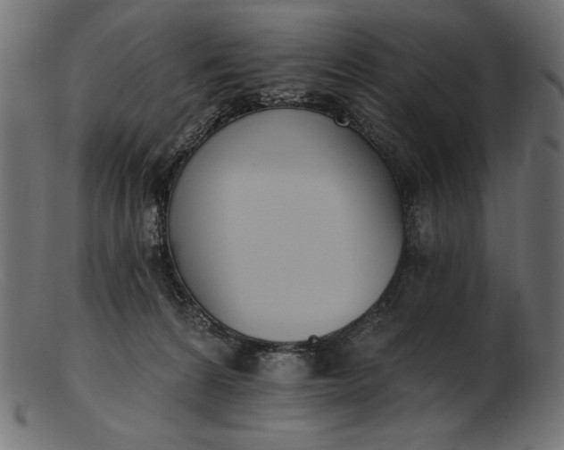 X0000103230224200809111537