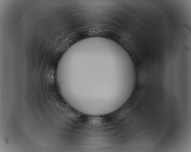 X0000103230226200809111537