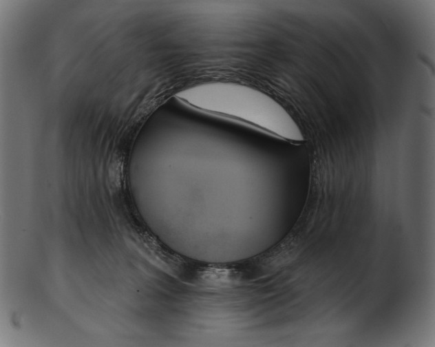 X0000103230227200809111537