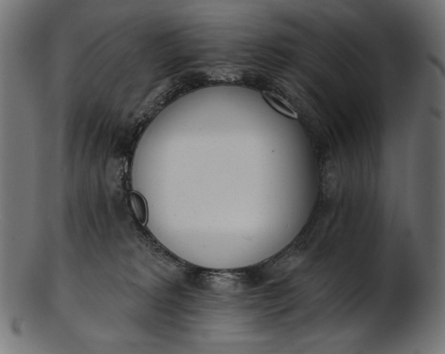 X0000103230229200809111537