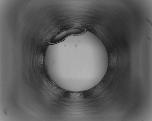 X0000103230230200809111537