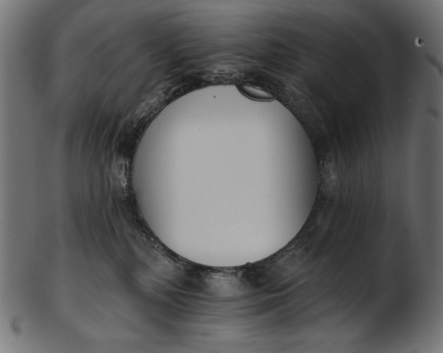 X0000103230232200809111537