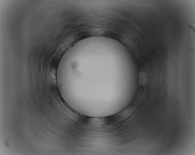 X0000103230238200809111537